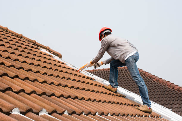 Best Gutter Installation and Repair  in Almedia, PA
